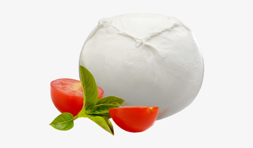 BURRATA